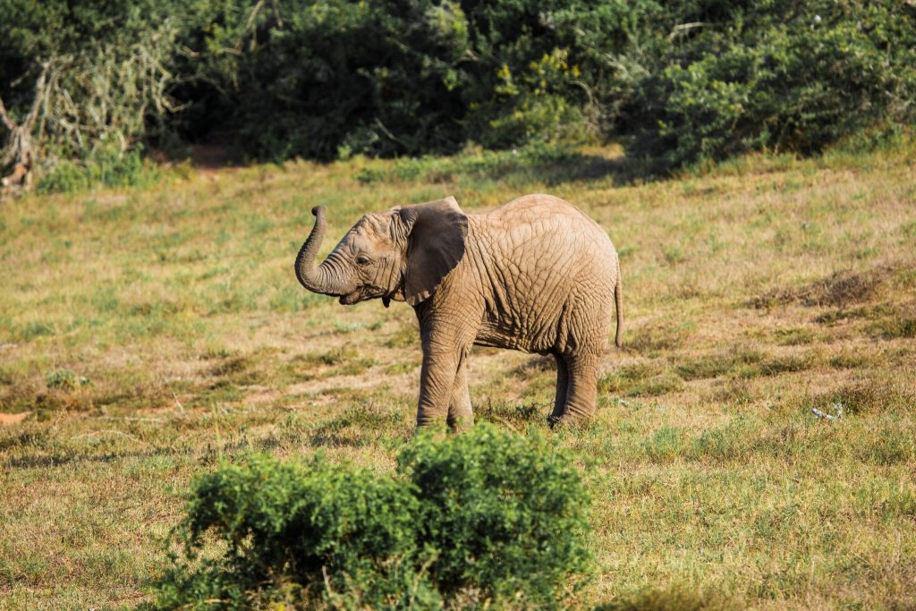 Reisblog Zuid-Afrika Fotograaf