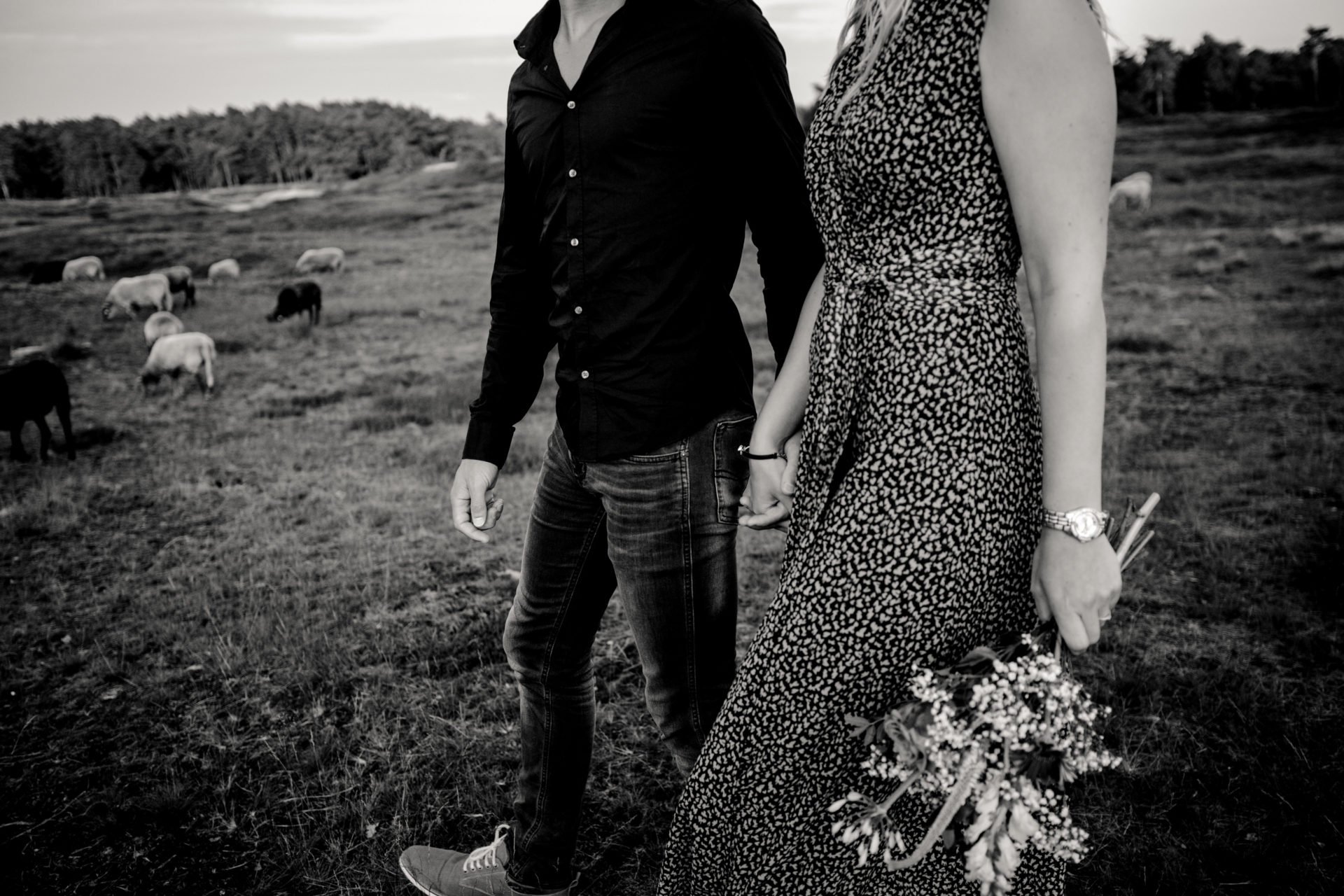 Loveshoot in Zeist